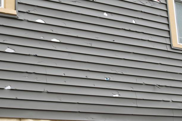 Best Steel Siding Installation  in Novi, MI