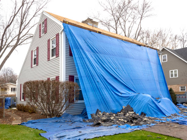 Affordable siding repair and maintenance services in Novi, MI